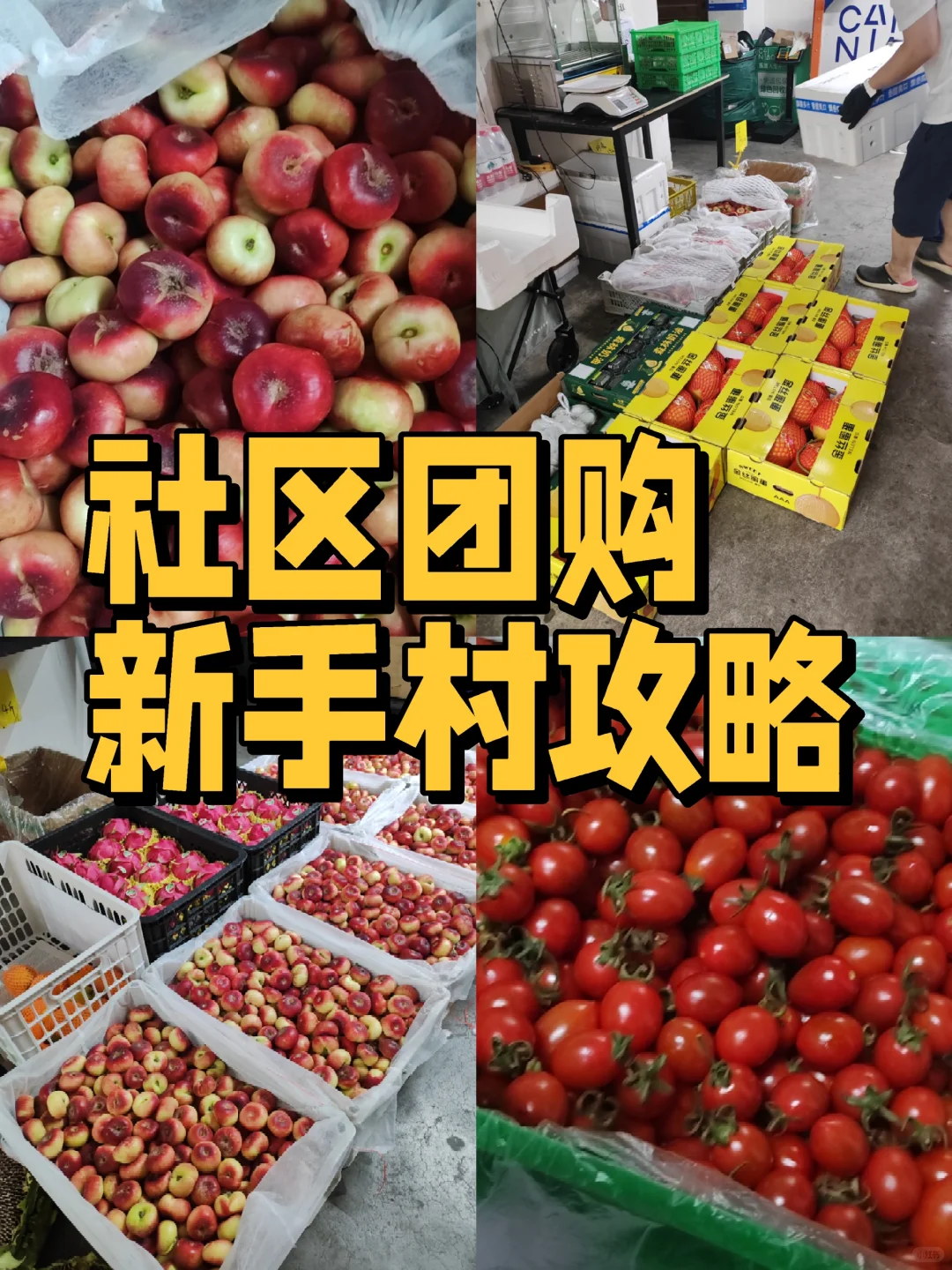 社区团购新手攻略1?