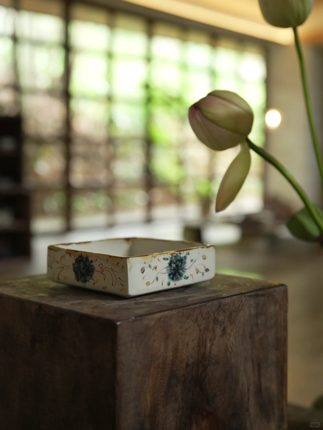 展会回顾｜我们在慢慢成长，也在被温柔看见