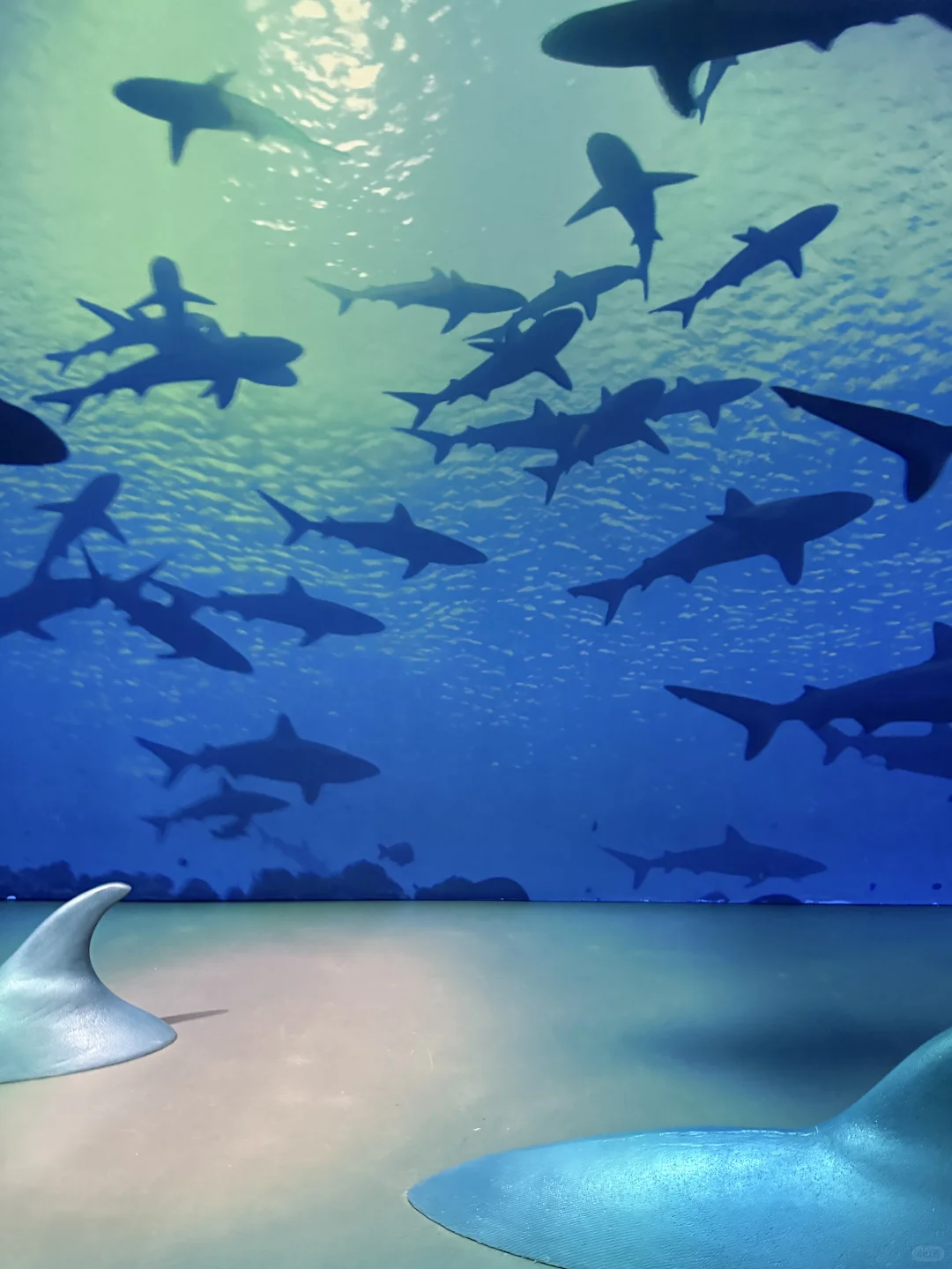 成都遛娃|治愈新展?地球自然美学超震撼❗️