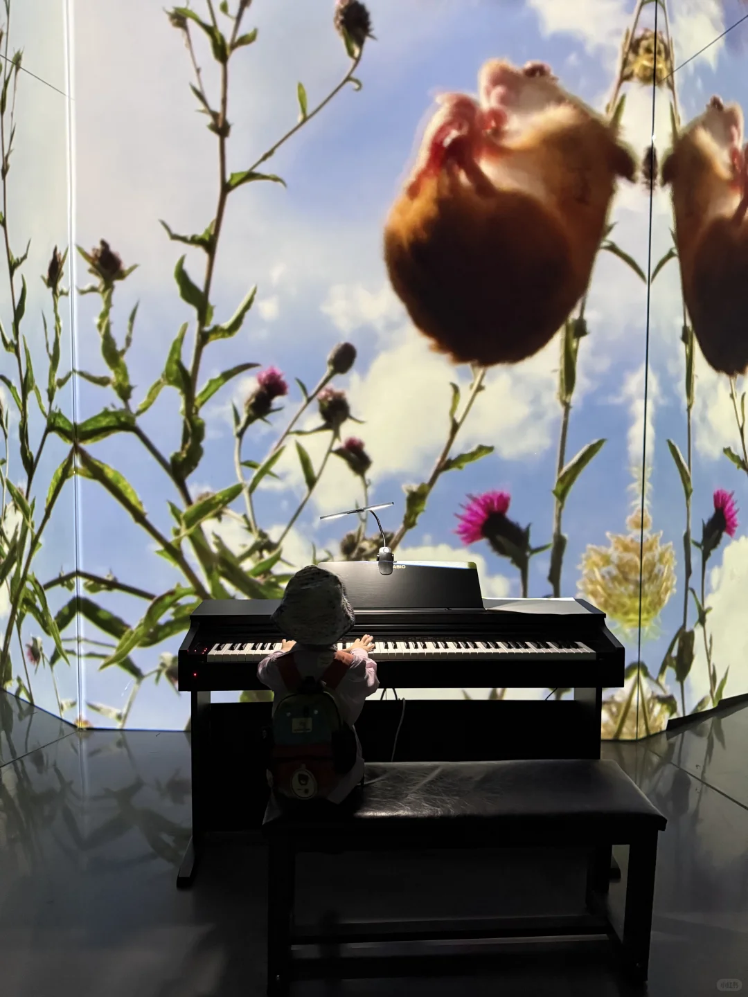 成都遛娃|治愈新展?地球自然美学超震撼❗️