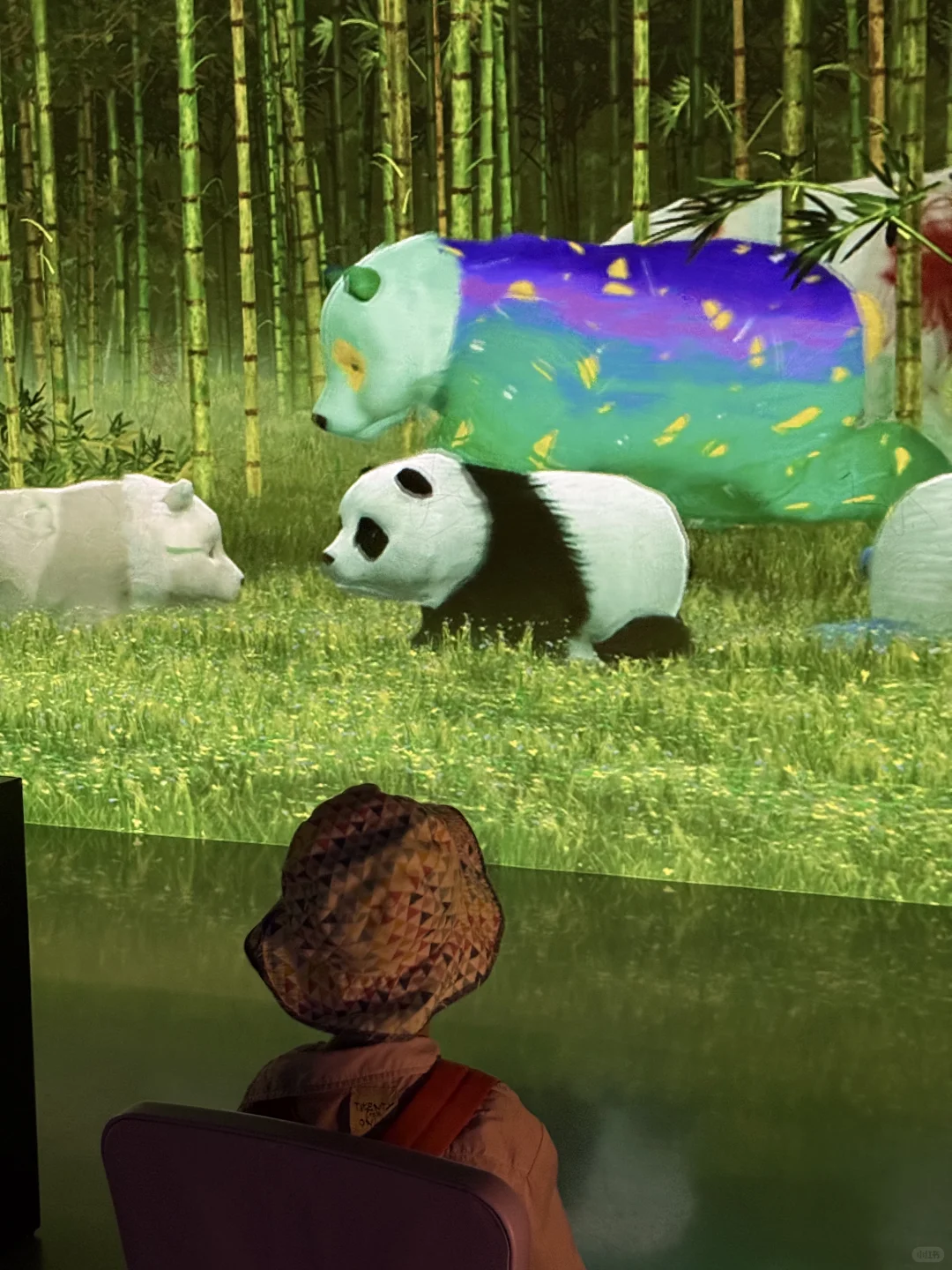 成都遛娃|治愈新展?地球自然美学超震撼❗️