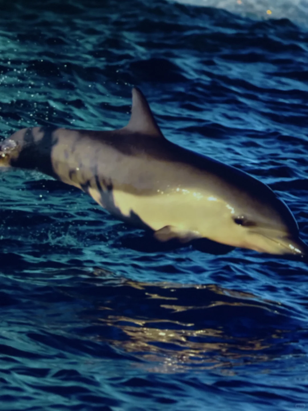 成都遛娃|治愈新展?地球自然美学超震撼❗️