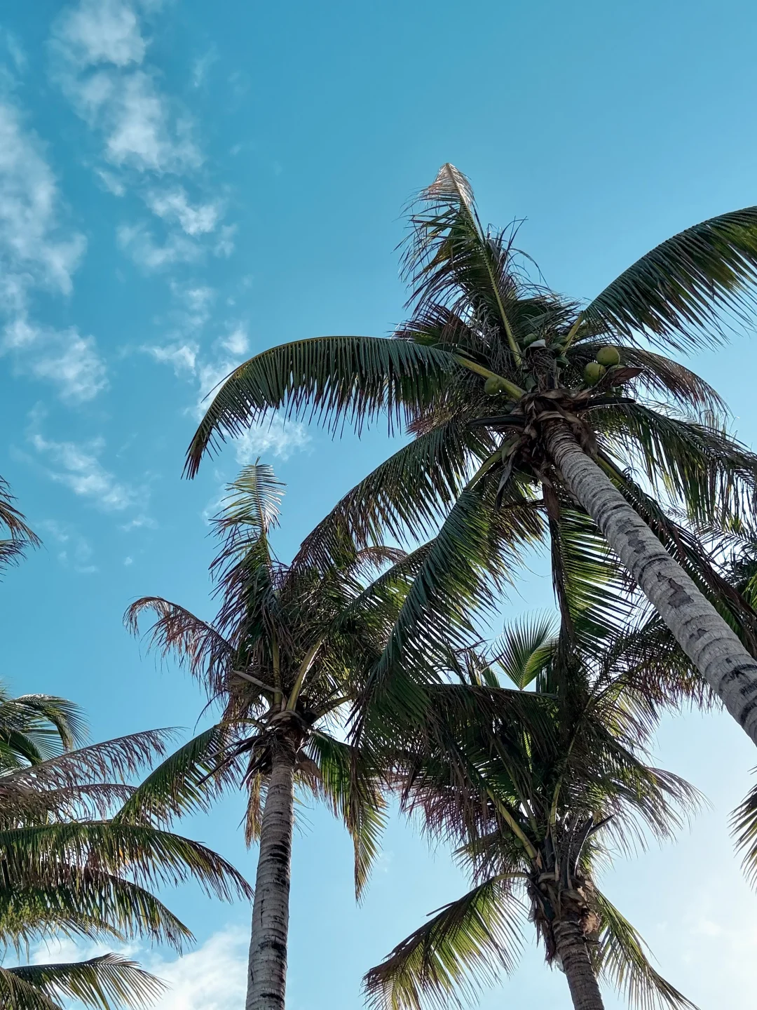 海岛穿衣自由?比基尼才是三亚的入场券