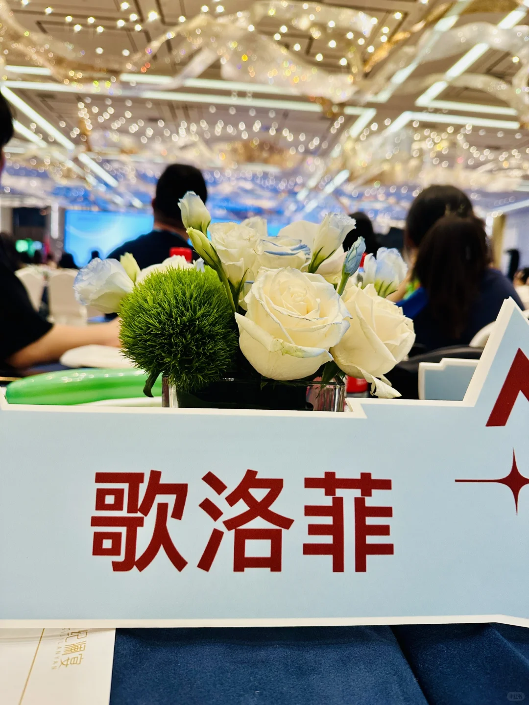 到底是谁来参加这种展会呀