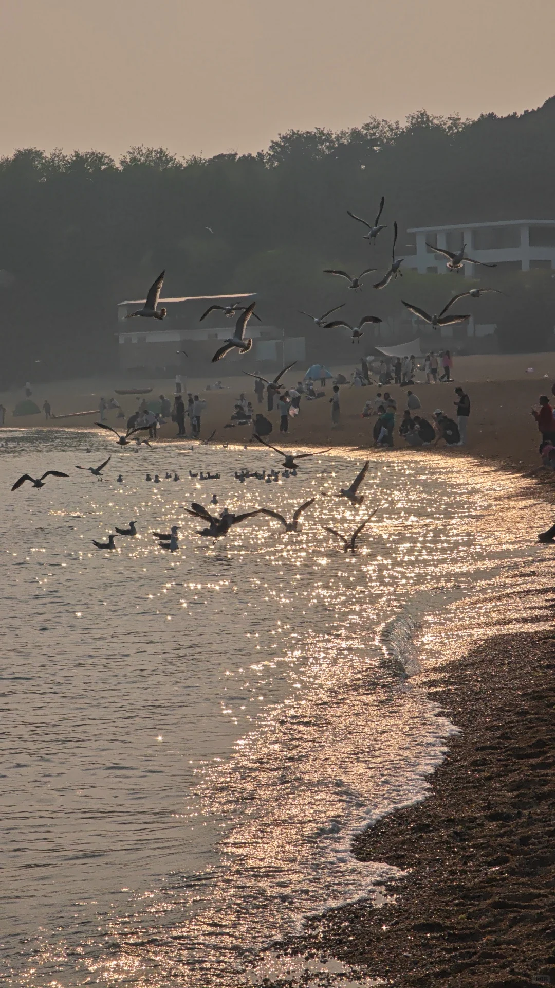 拒绝封建思想，我做错什么了？