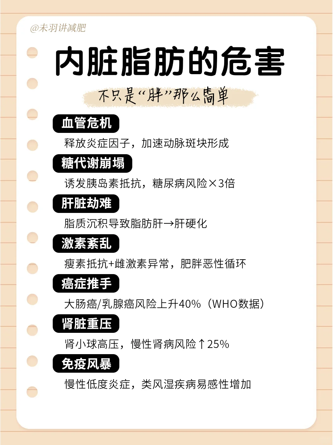 ? 瘦肚子！内脏脂肪全攻略