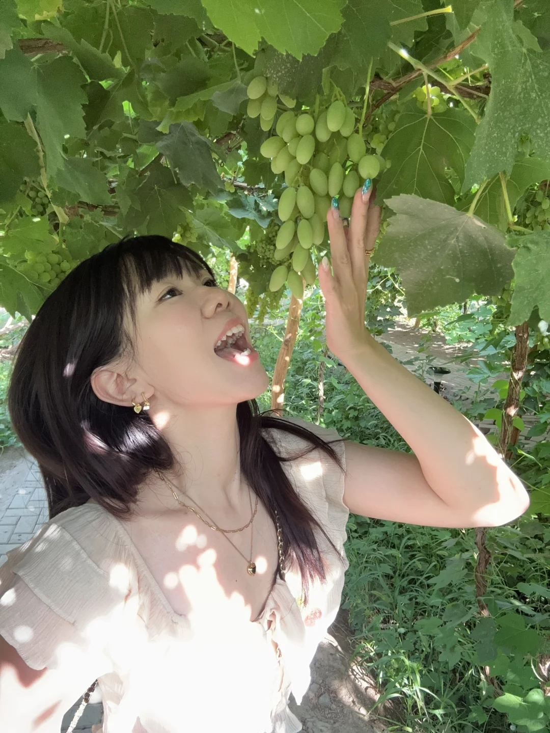 避雷?!!吐鲁番葡萄沟??