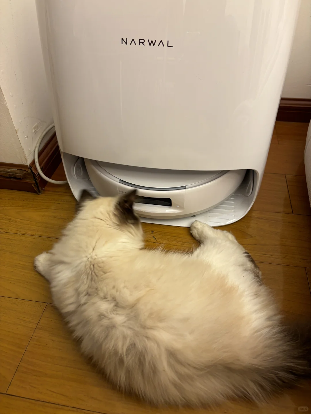 哼！我是不会让你过去的