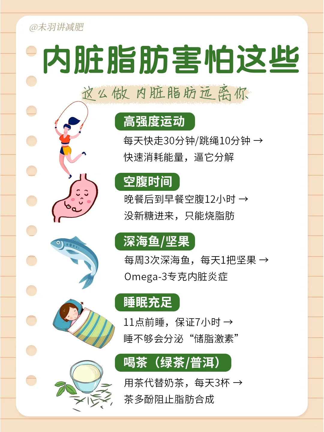 ? 瘦肚子！内脏脂肪全攻略