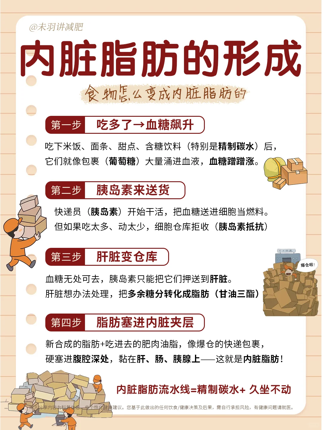 ? 瘦肚子！内脏脂肪全攻略