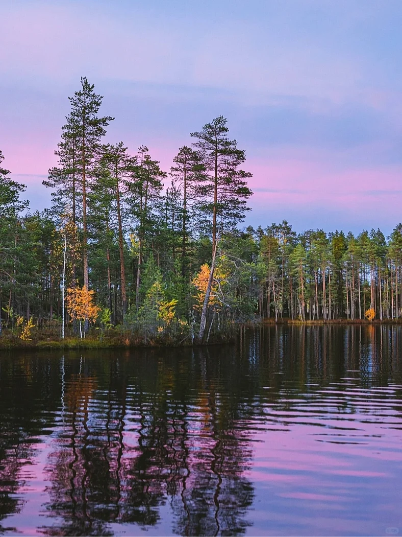 ? 把温柔和宁静多留点给自己?