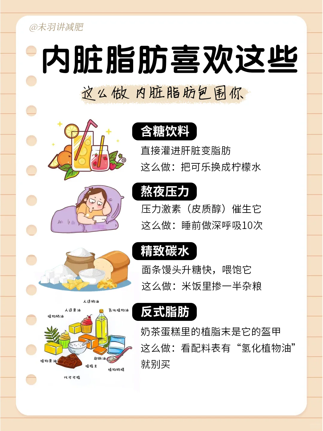 ? 瘦肚子！内脏脂肪全攻略