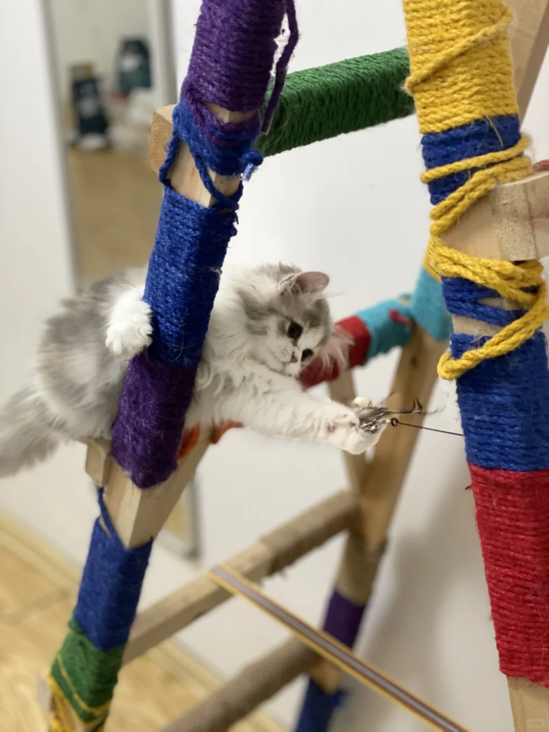 反抗是没有用的ꉂ(ˊᗜˋ*)