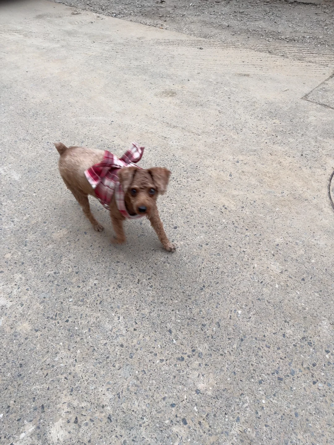 周末有氧10公里慢跑?