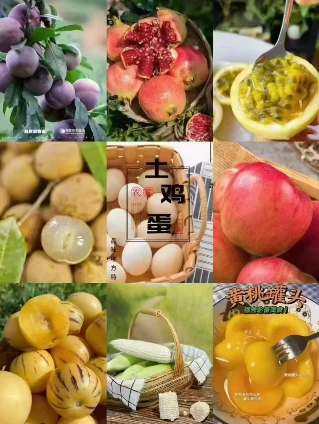 谁团谁捡到！轻奢包团捡～