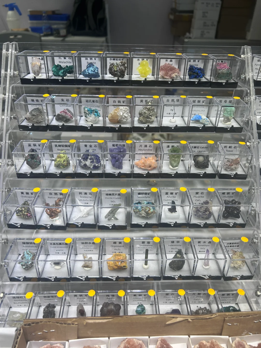 南京矿展分享 矿物合集大分享！！