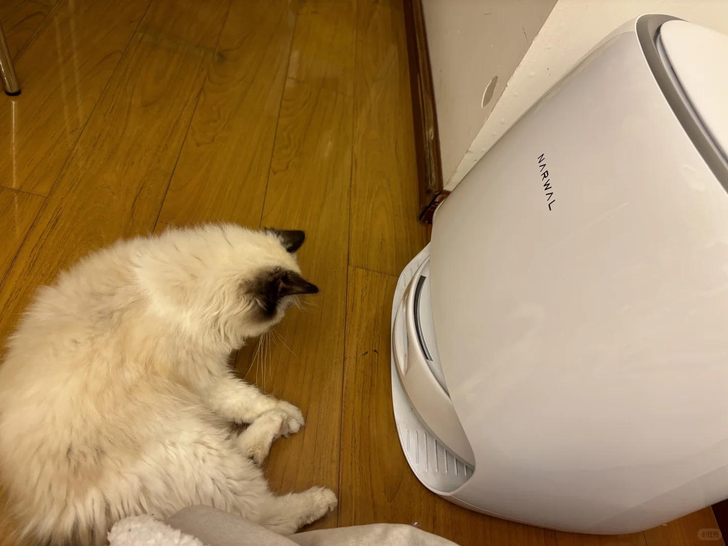 哼！我是不会让你过去的