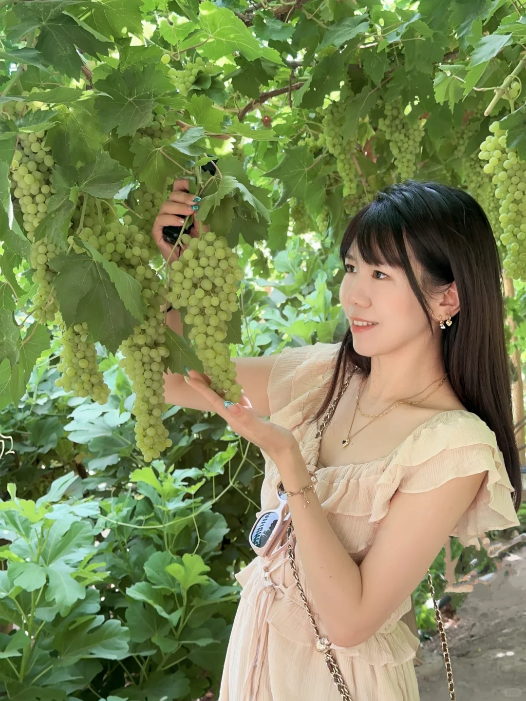 避雷?!!吐鲁番葡萄沟??