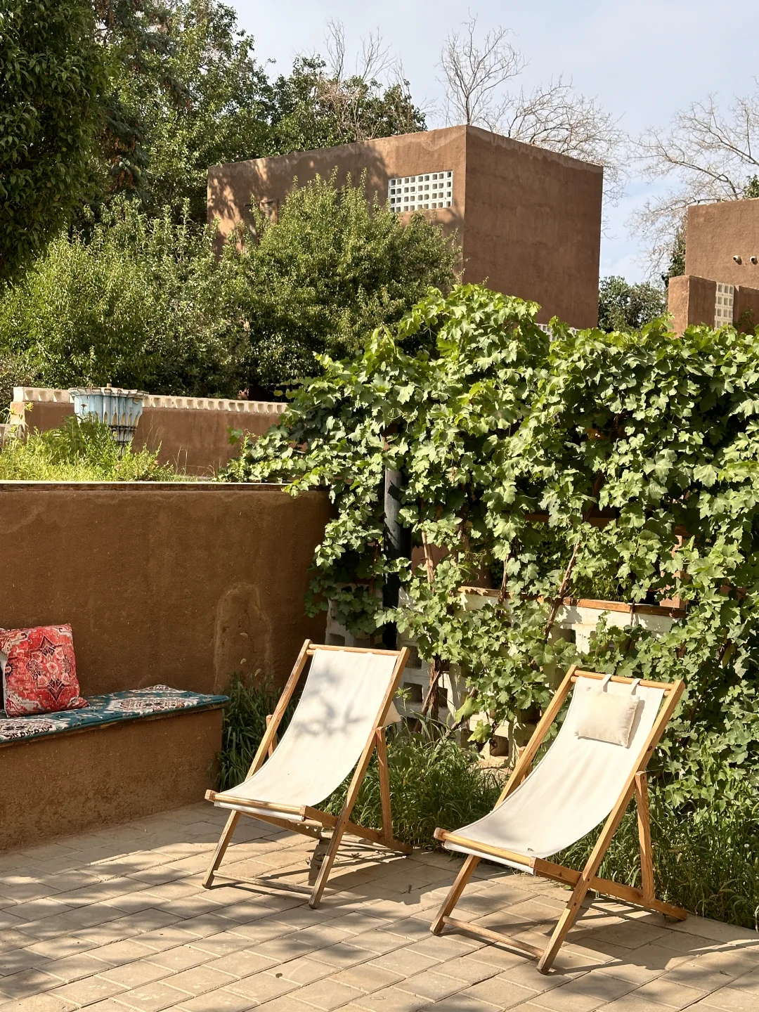 避雷?!!吐鲁番葡萄沟??