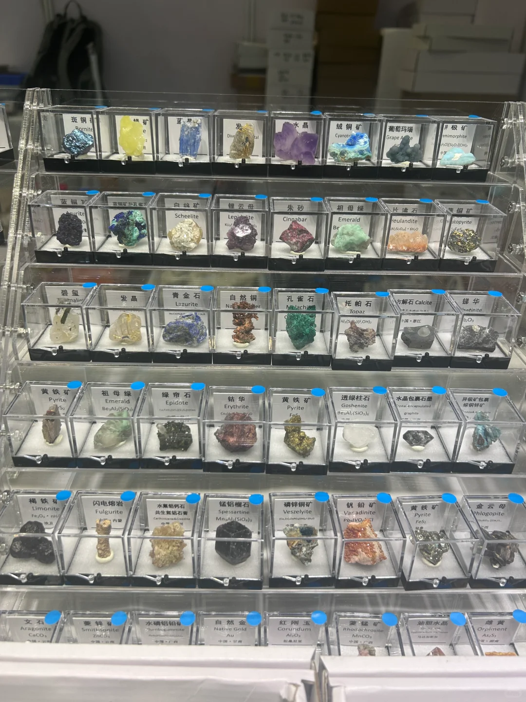 南京矿展分享 矿物合集大分享！！