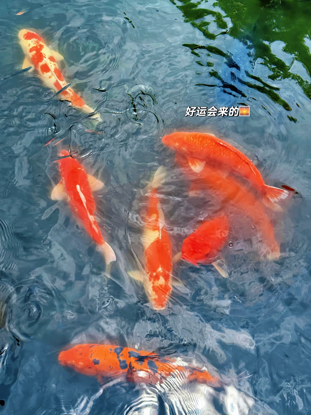 35岁 做一个不吃苦的中年富女