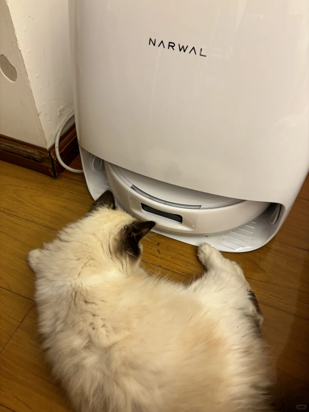 哼！我是不会让你过去的