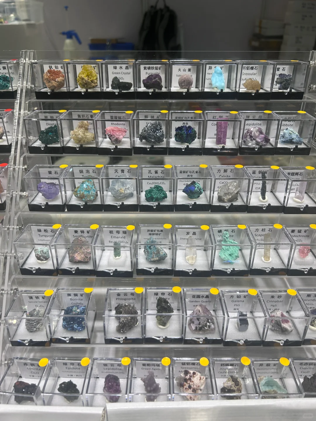 南京矿展分享 矿物合集大分享！！