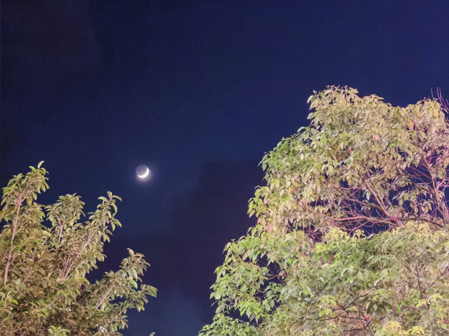 我对夏天没有抵抗力~