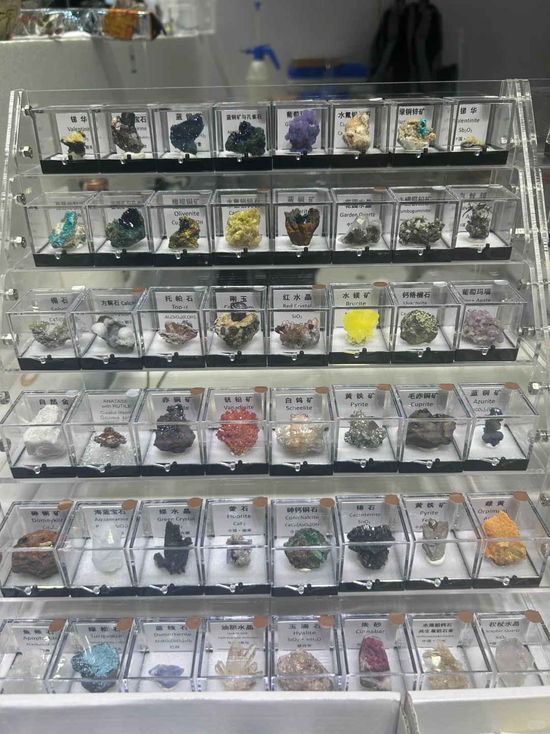 南京矿展分享 矿物合集大分享！！