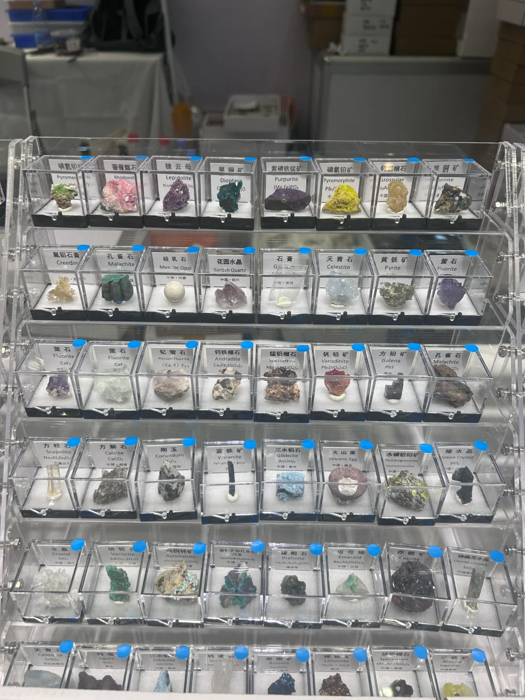 南京矿展分享 矿物合集大分享！！