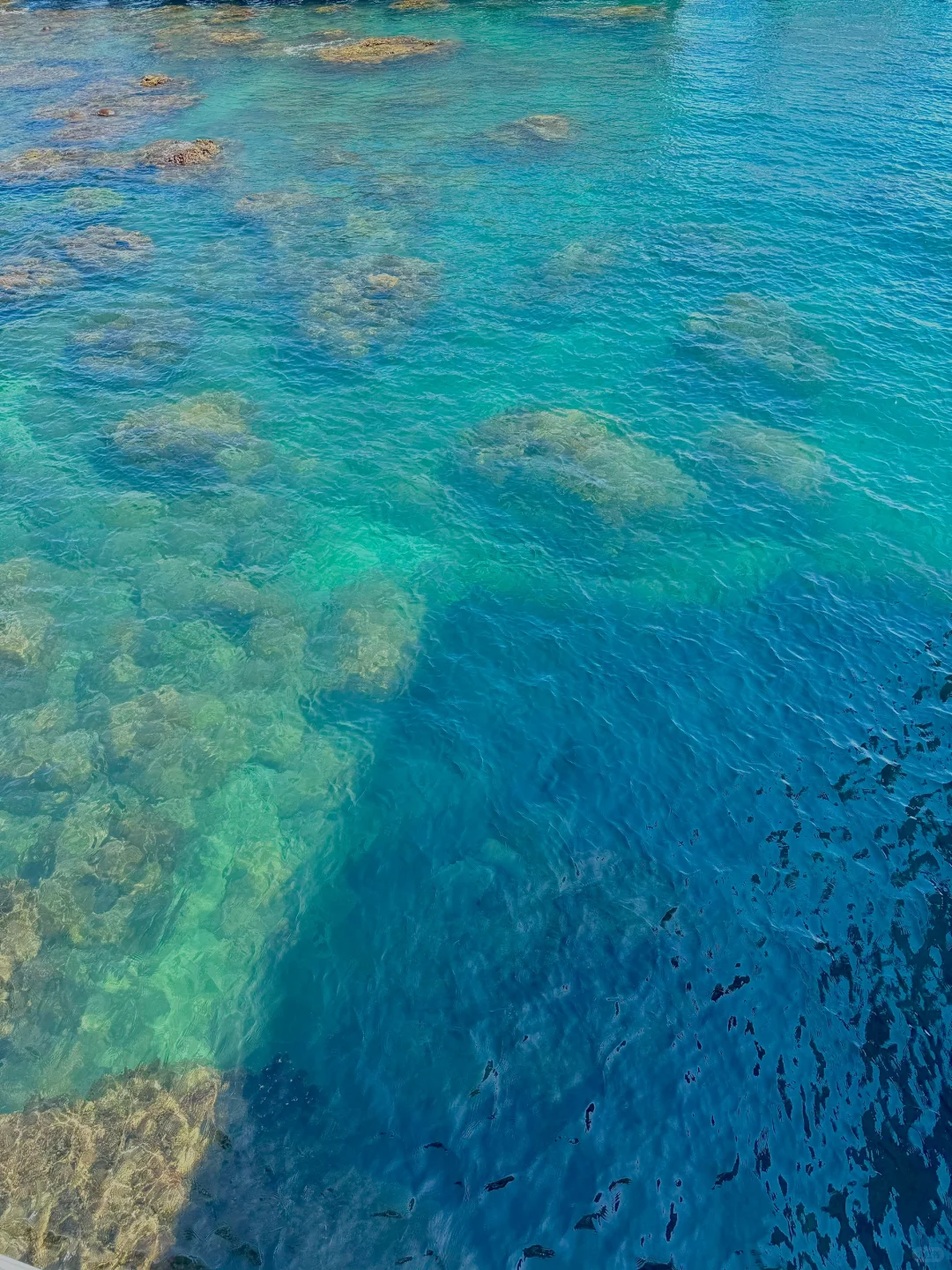 ??⊹⋰ ? 小岛日记