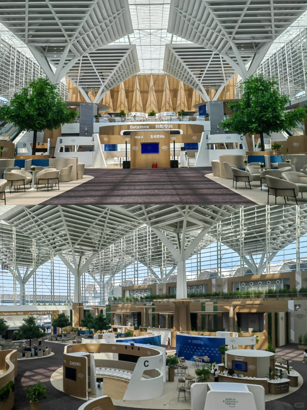 2025夏季达沃斯论坛 | 会场开放参观开启