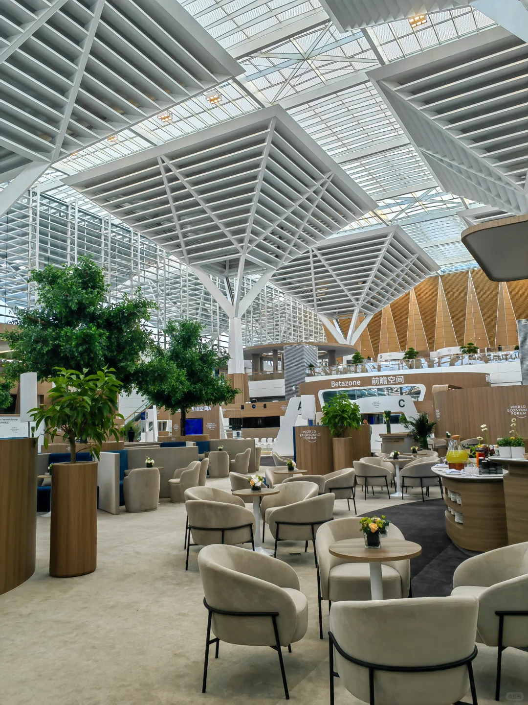 2025夏季达沃斯论坛 | 会场开放参观开启