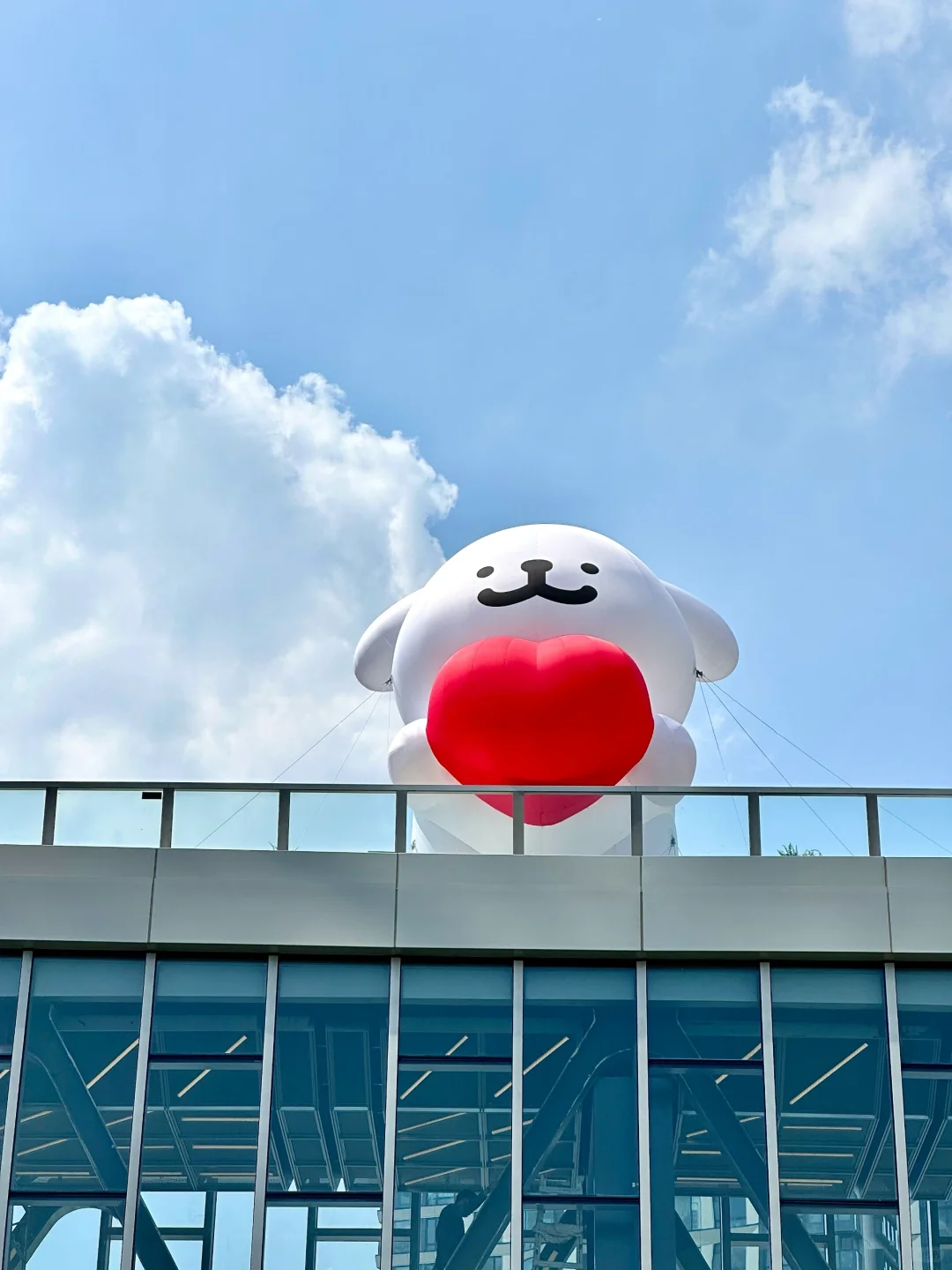 上海线条小狗痛楼诞生了?全国首展太可爱了