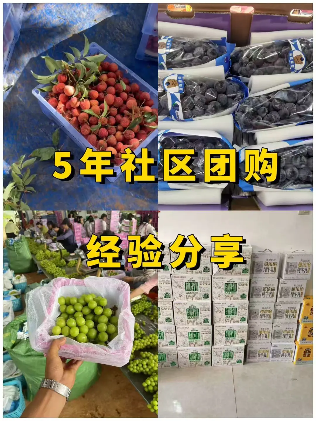 ⑤年血泪史！社区团购真能月入过万？?