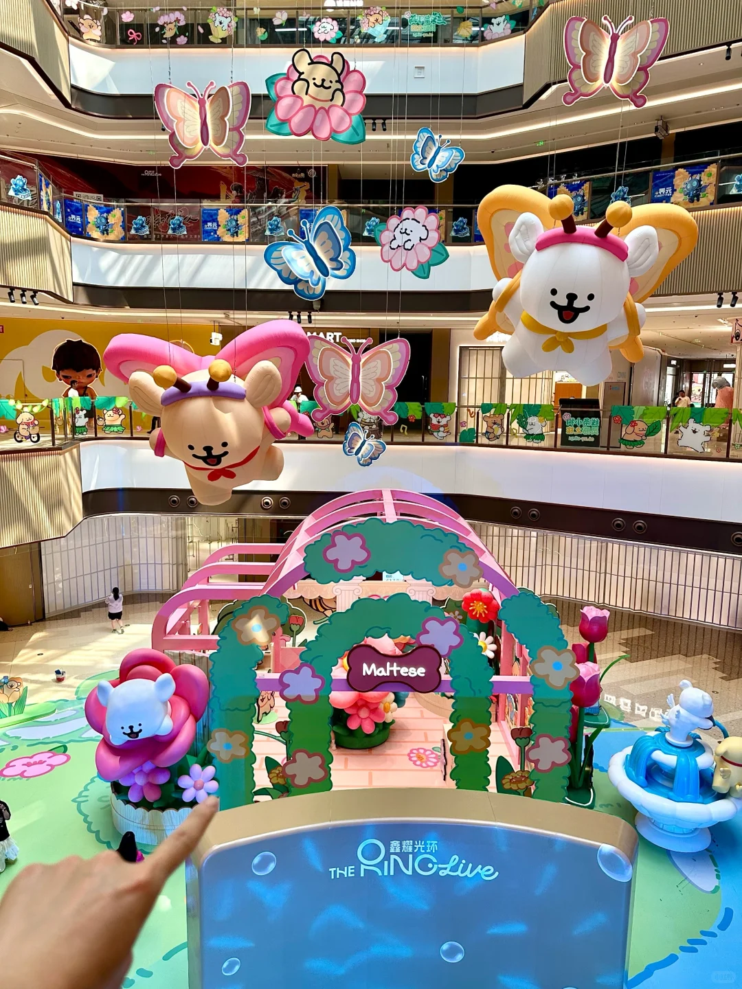 上海线条小狗痛楼诞生了?全国首展太可爱了