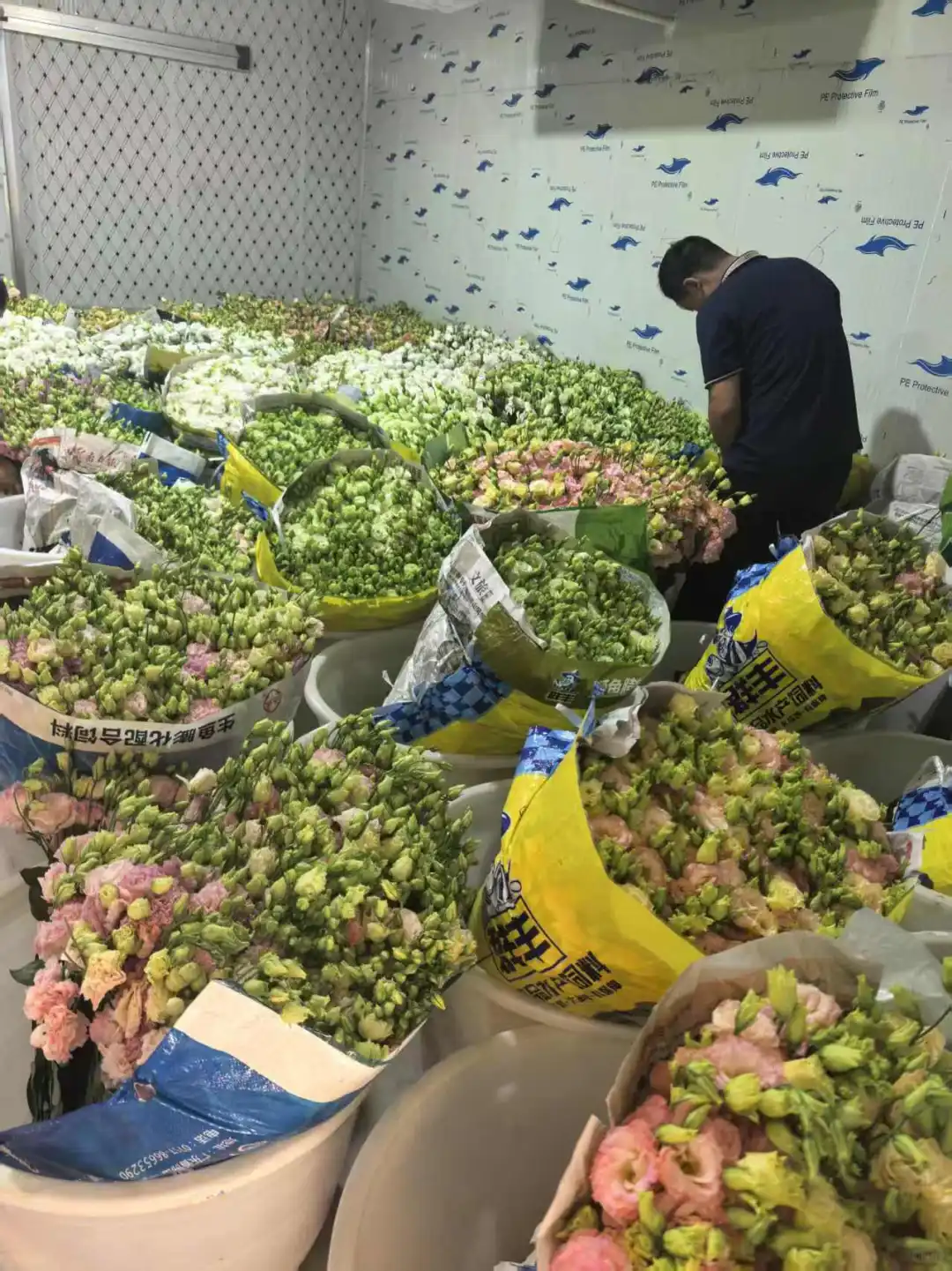 ⑤年血泪史！社区团购真能月入过万？?