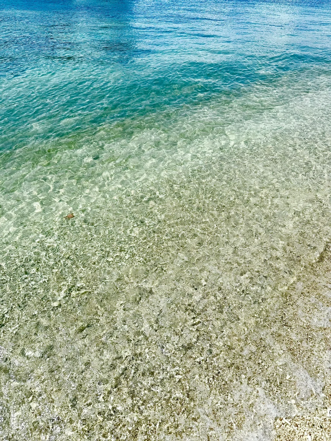 ??⊹⋰ ? 小岛日记