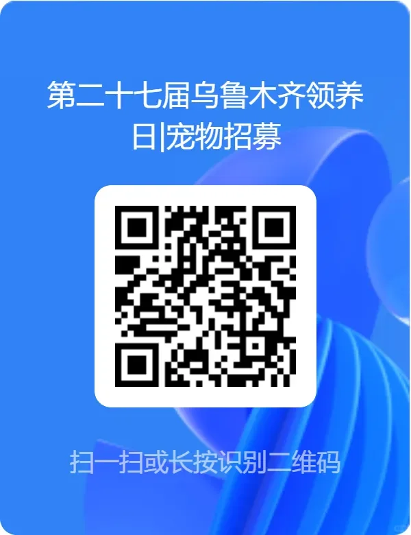 乌鲁木齐萌宠盛宴!7月必打卡的展会攻略
