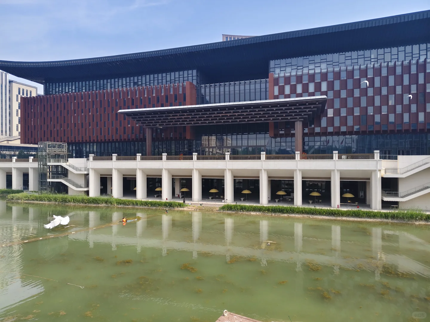 远看威武霸气，近看秀美温柔，雄安会展中心