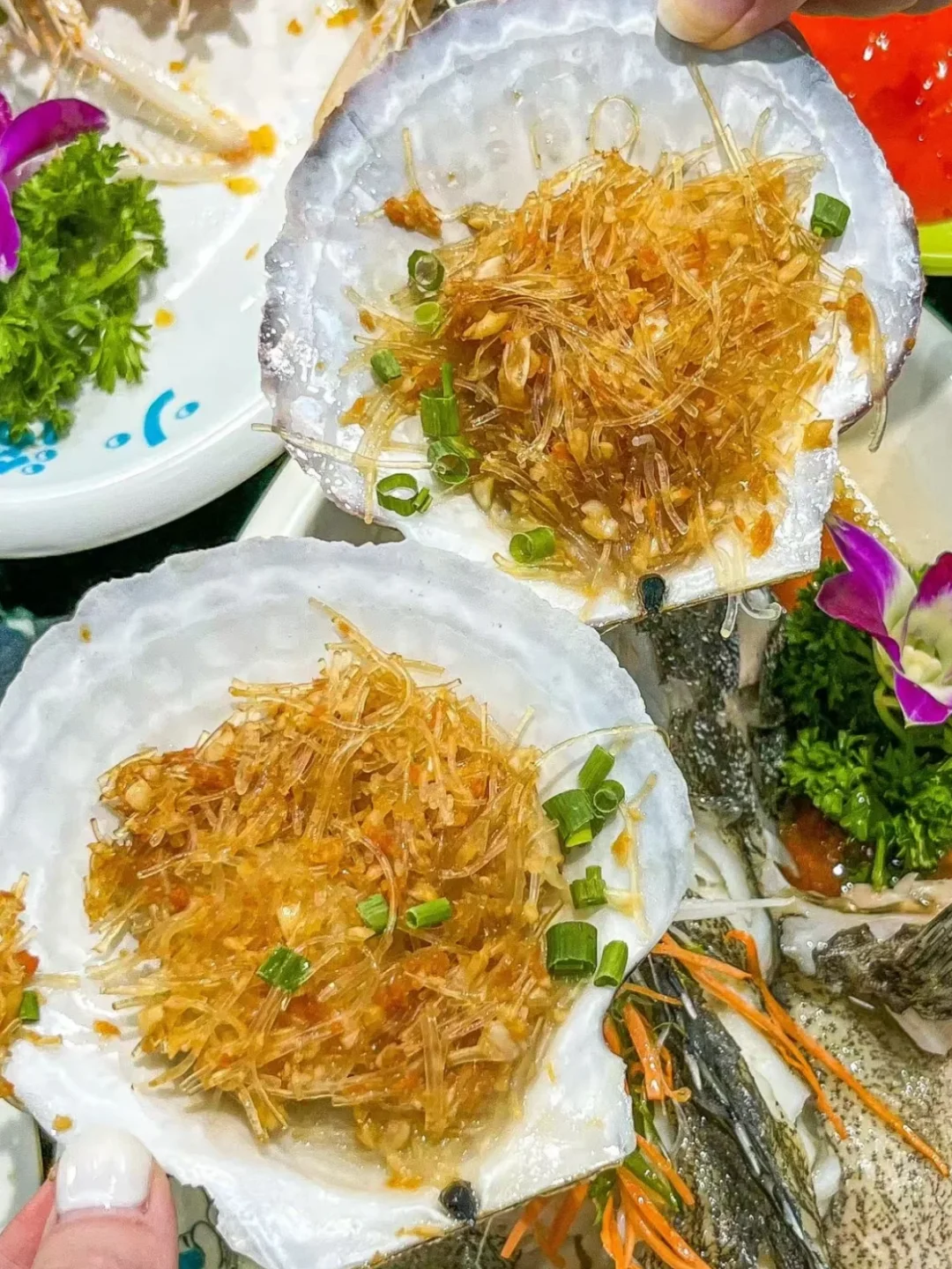 ??⊹⋰ ? 小岛日记