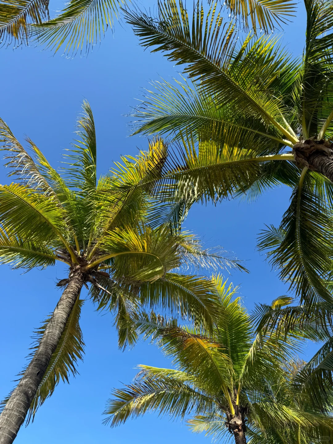 ??⊹⋰ ? 小岛日记