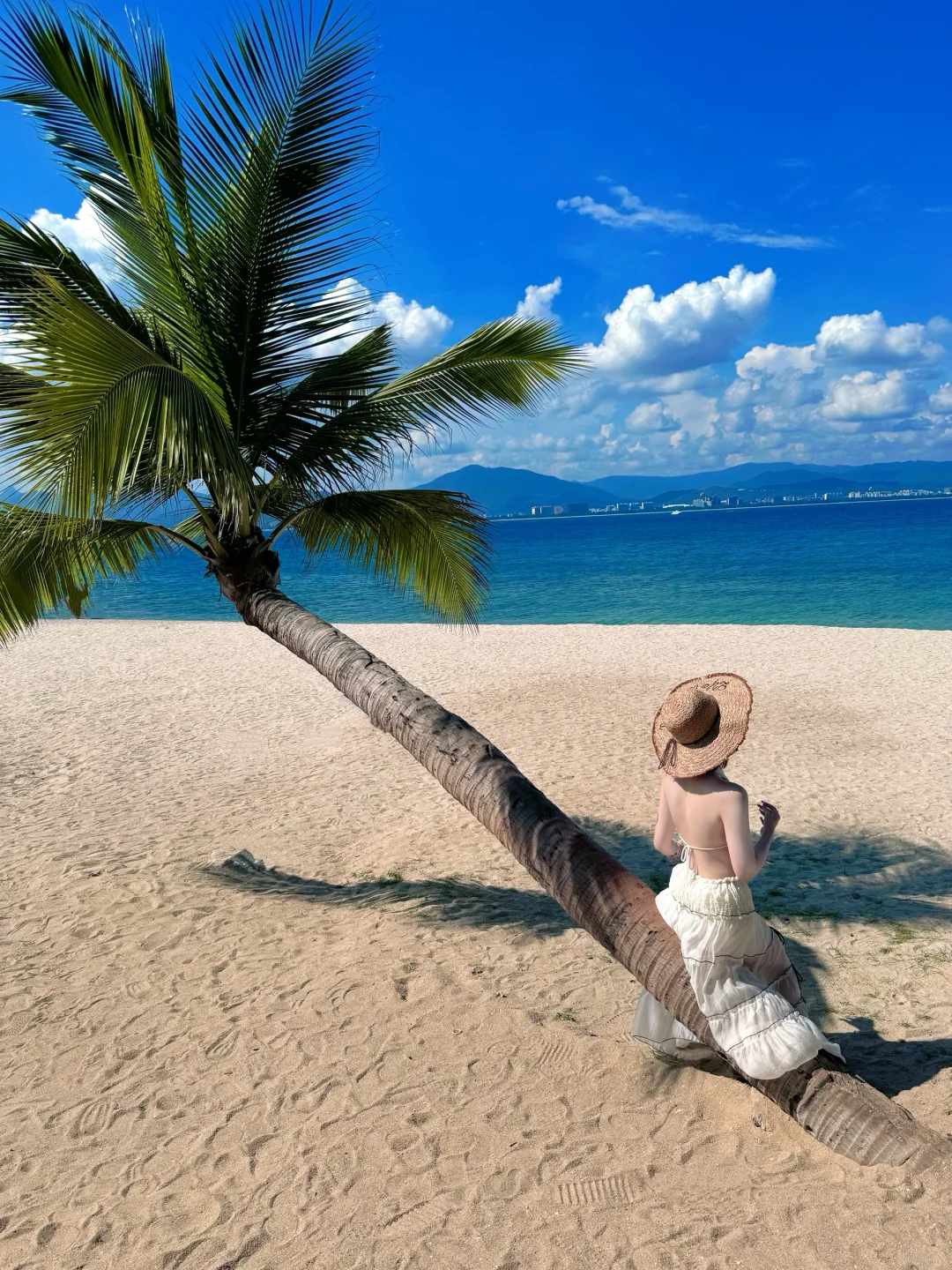 ??⊹⋰ ? 小岛日记