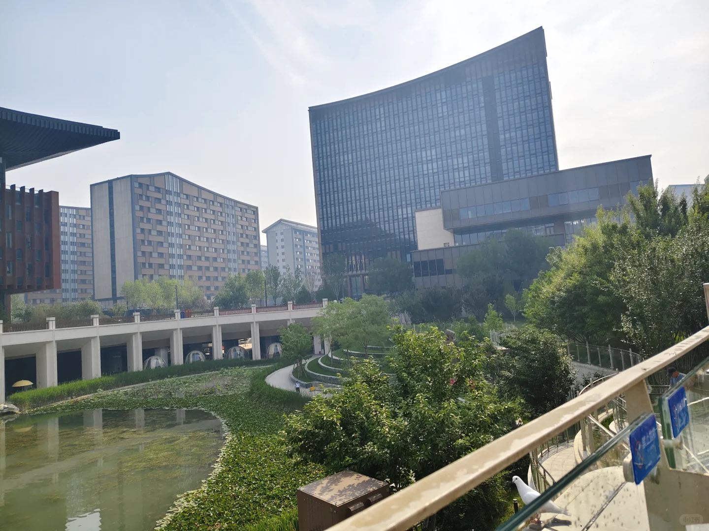 远看威武霸气，近看秀美温柔，雄安会展中心