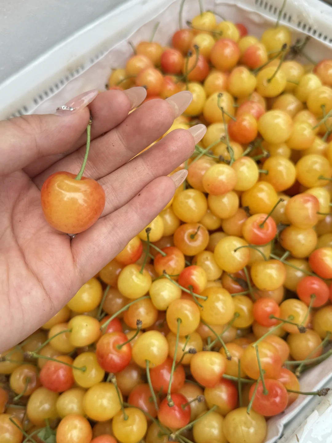 女朋友做社区团购的思路好清晰