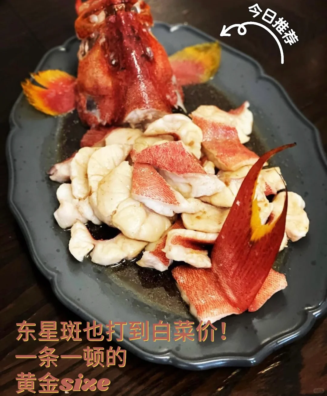 ??此刻离开悉尼疯狂想念?半价东星斑团购