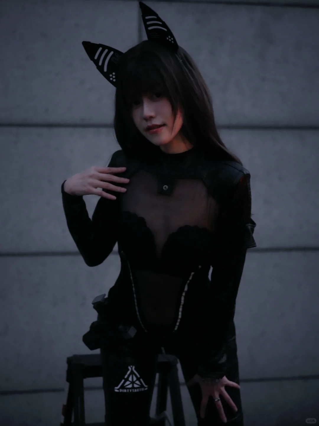 啊啊啊她好酷！小猫猫～