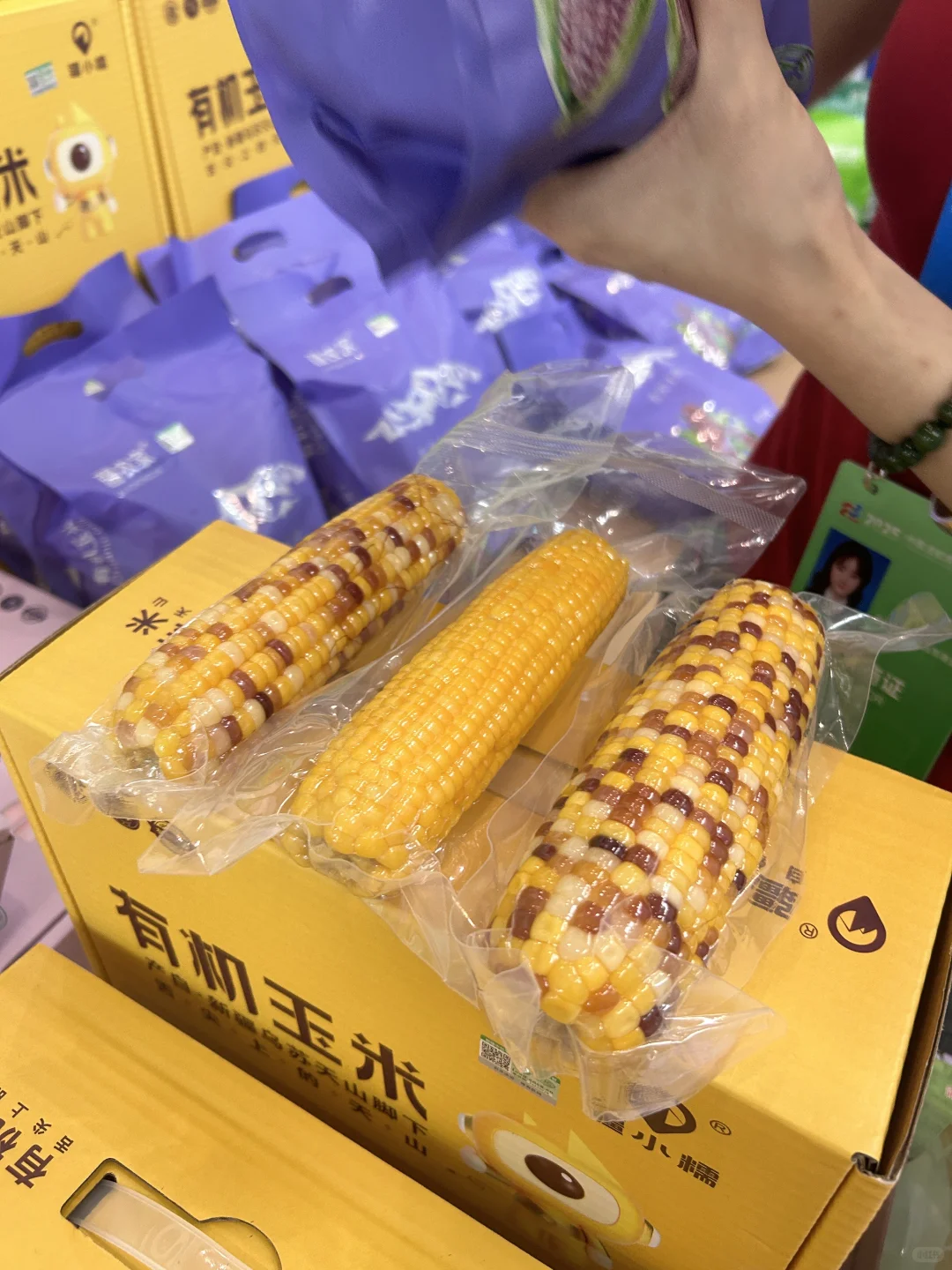 亚欧博览会第一天逛展