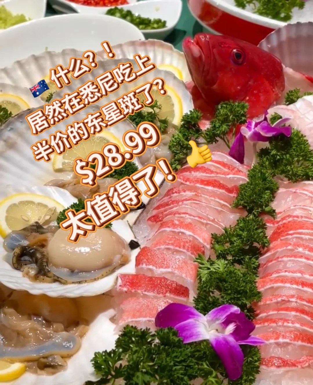 ??此刻离开悉尼疯狂想念?半价东星斑团购