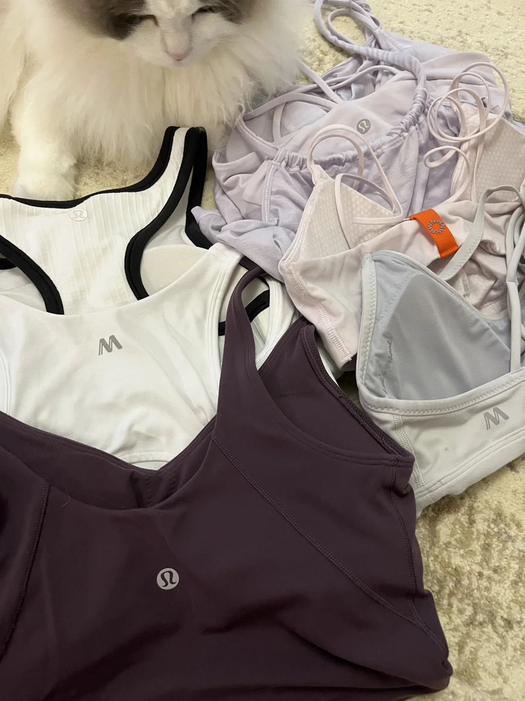 断舍离后的瑜伽服分享